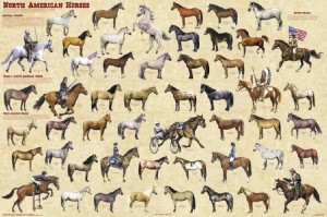 fewer horses and bayonets obama